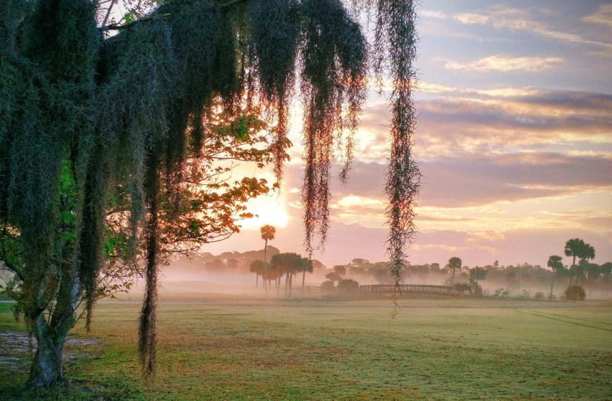 Crane Creek Reserve