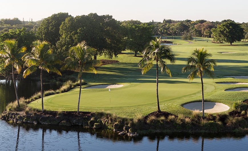 Trump National – Doral (Silver Fox)